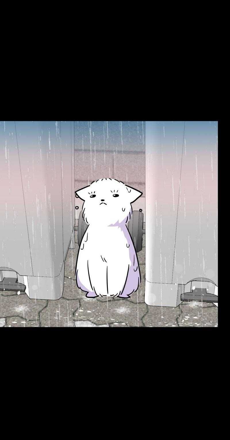 Truyện Ngôn Nhưng Không Ngôn Lắm Chapter 90 - 41