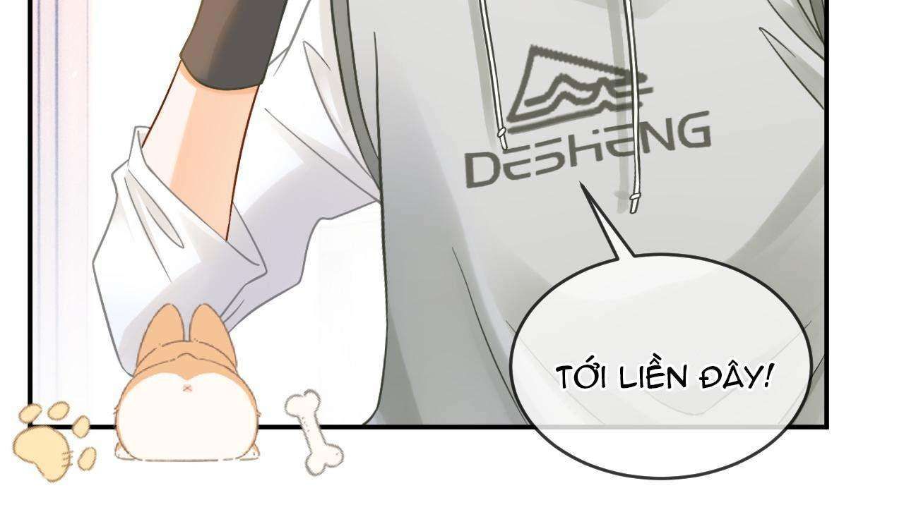 Nam Thần Bá Đạo Cầu Xin Tôi Quay Lại Chapter 45 - 18
