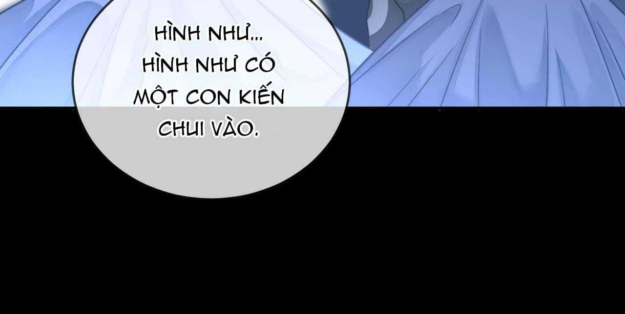 Nam Thần Bá Đạo Cầu Xin Tôi Quay Lại Chapter 51 - 11