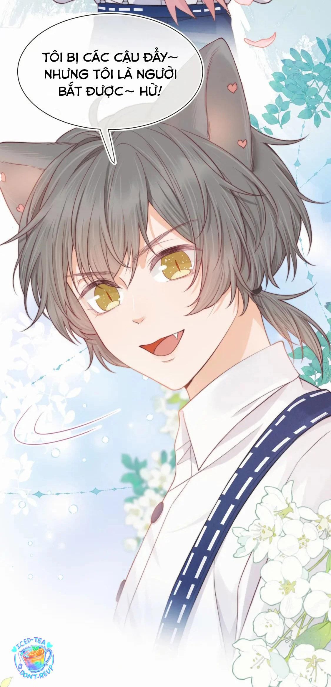 [Ss2] Một Ngụm Ăn Cả Thỏ Con Chapter 35 - 40
