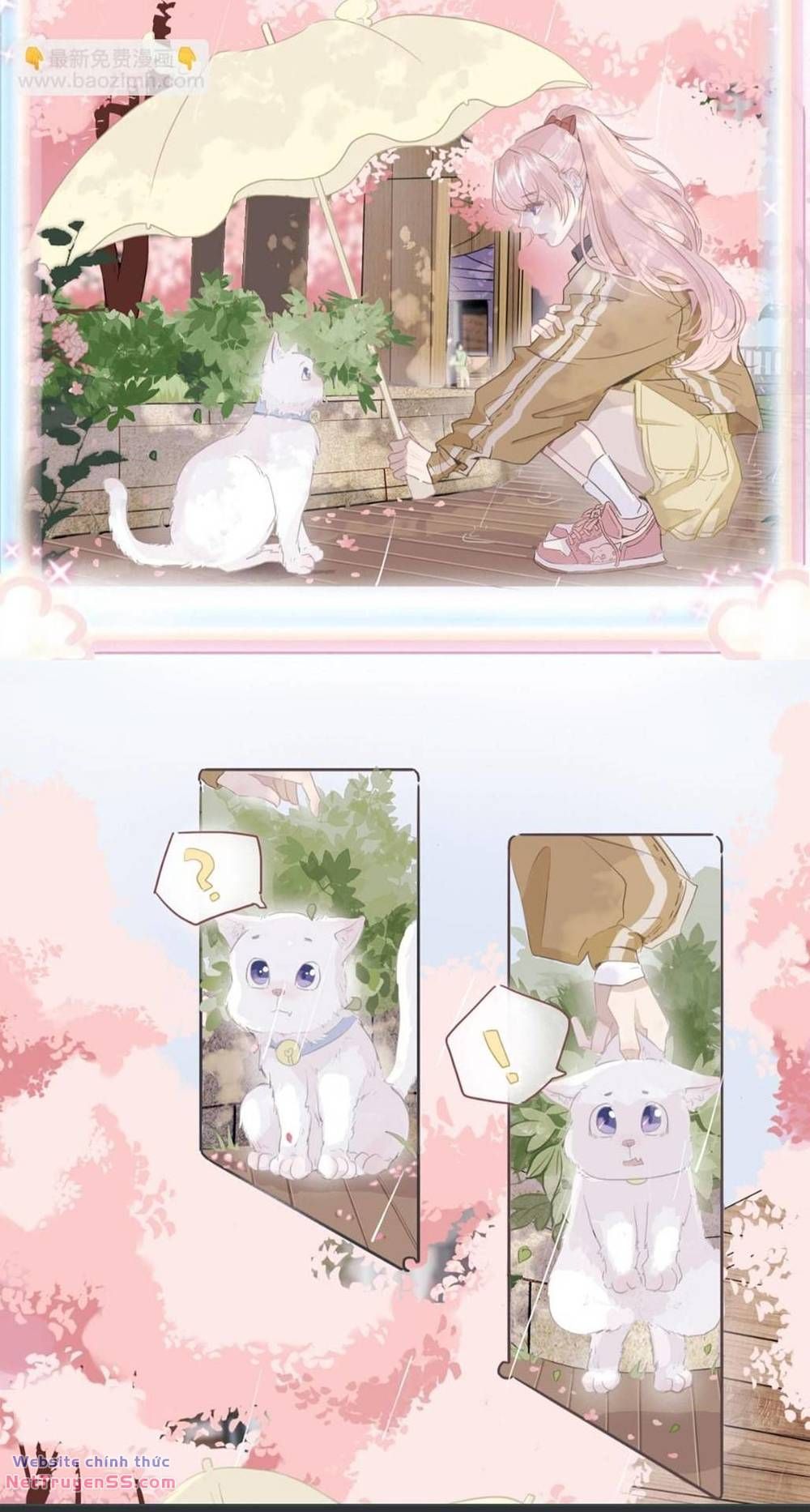Ghi Chú Hoa Anh Đào Chapter 0.5 - 5