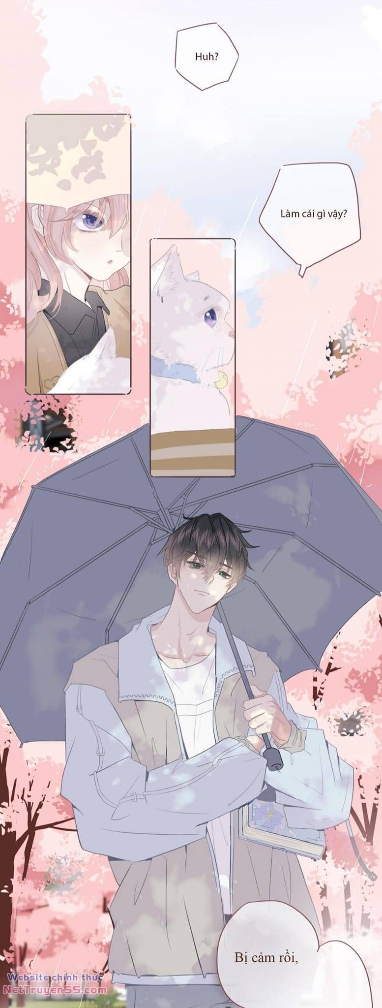 Ghi Chú Hoa Anh Đào Chapter 0.5 - 7