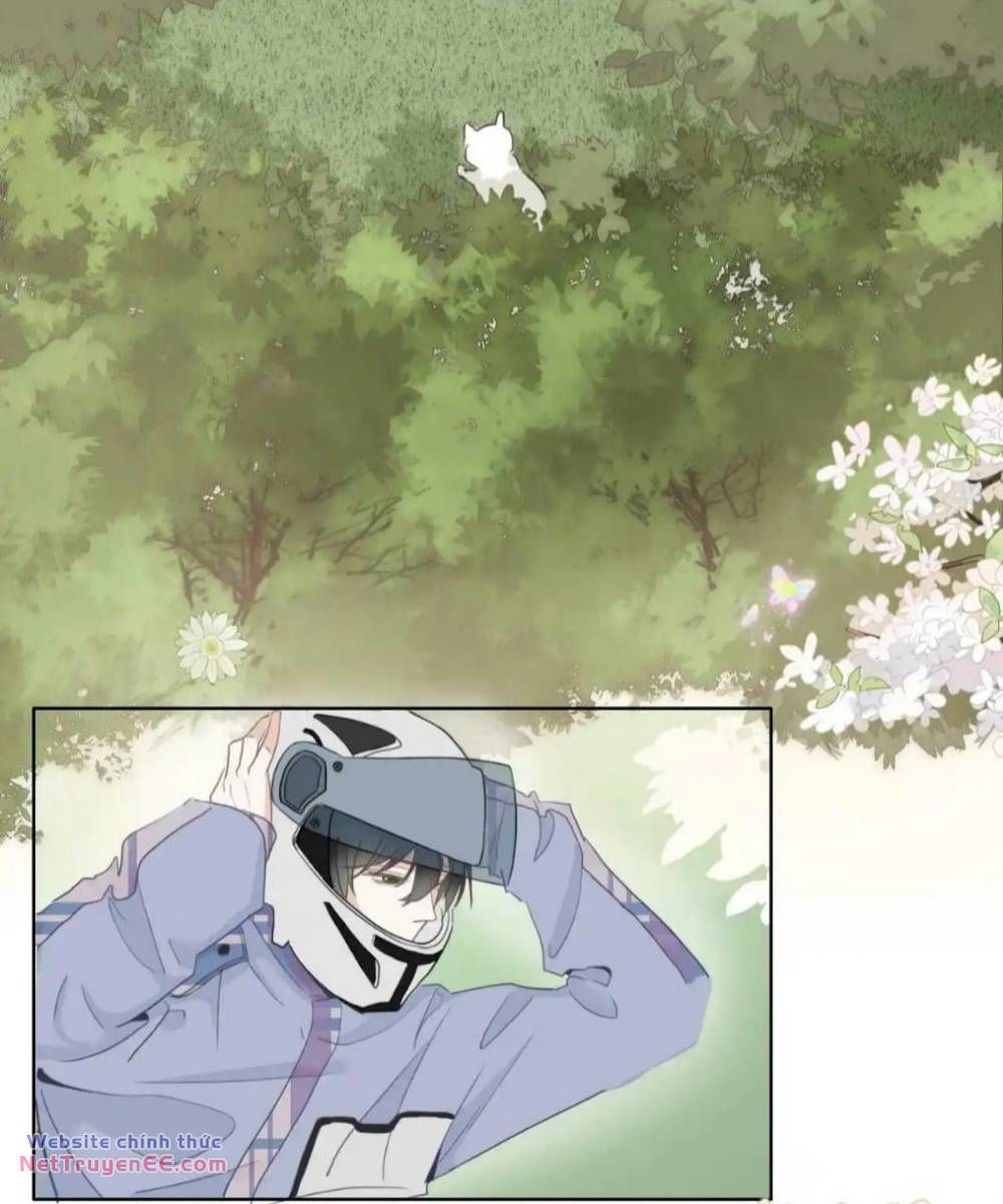 Ghi Chú Hoa Anh Đào Chapter 2 - 13