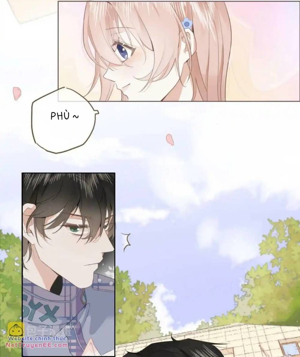 Ghi Chú Hoa Anh Đào Chapter 2 - 18