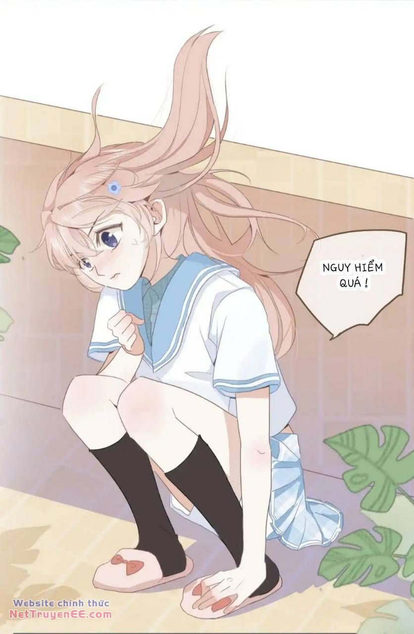 Ghi Chú Hoa Anh Đào Chapter 2 - 20