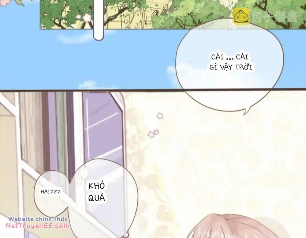 Ghi Chú Hoa Anh Đào Chapter 2 - 4