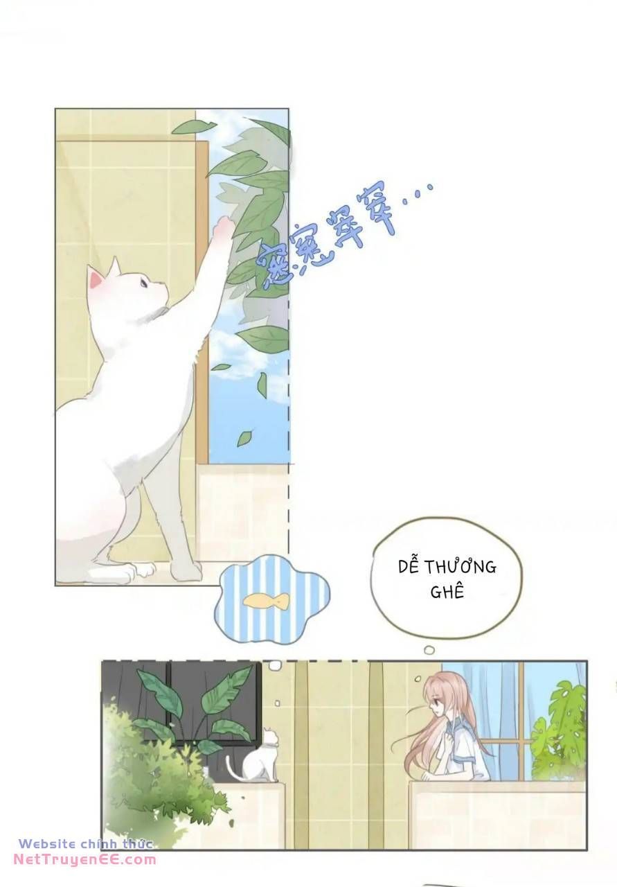 Ghi Chú Hoa Anh Đào Chapter 2 - 8