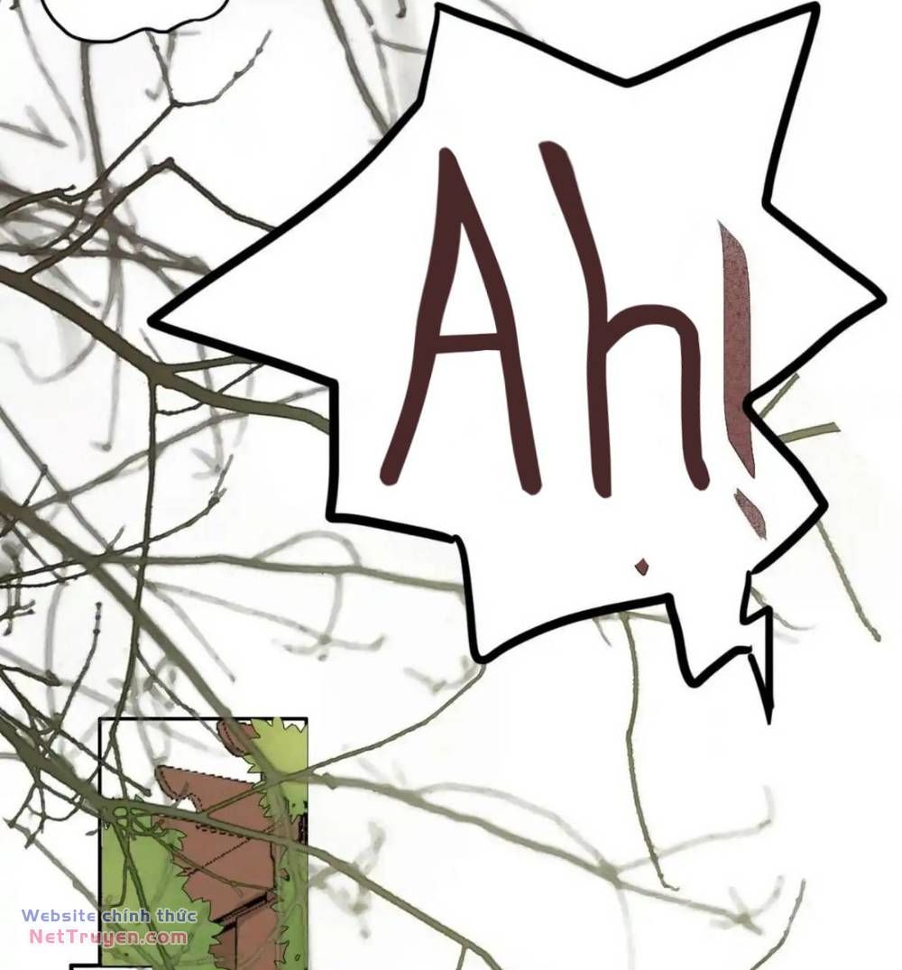Ghi Chú Hoa Anh Đào Chapter 3 - 11