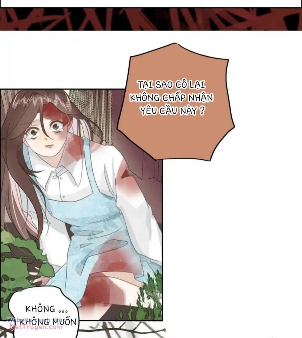 Ghi Chú Hoa Anh Đào Chapter 3 - 10