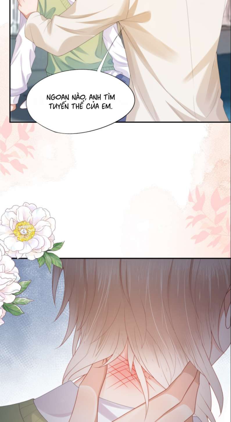Phương Thức Chính Thức Giải Cứu Tiểu Đáng Thương Chapter 25 - 6