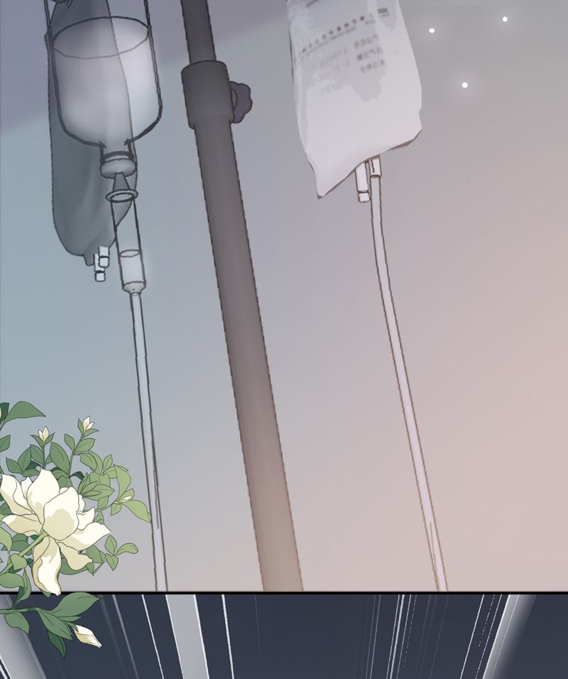 Phương Thức Chính Thức Giải Cứu Tiểu Đáng Thương Chapter 69 - 60