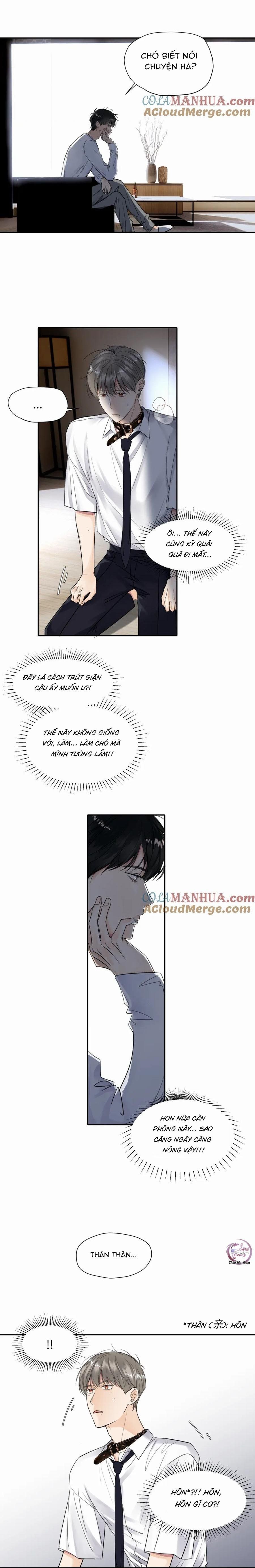 Chó Chuộc Tội Chapter 12 - 20