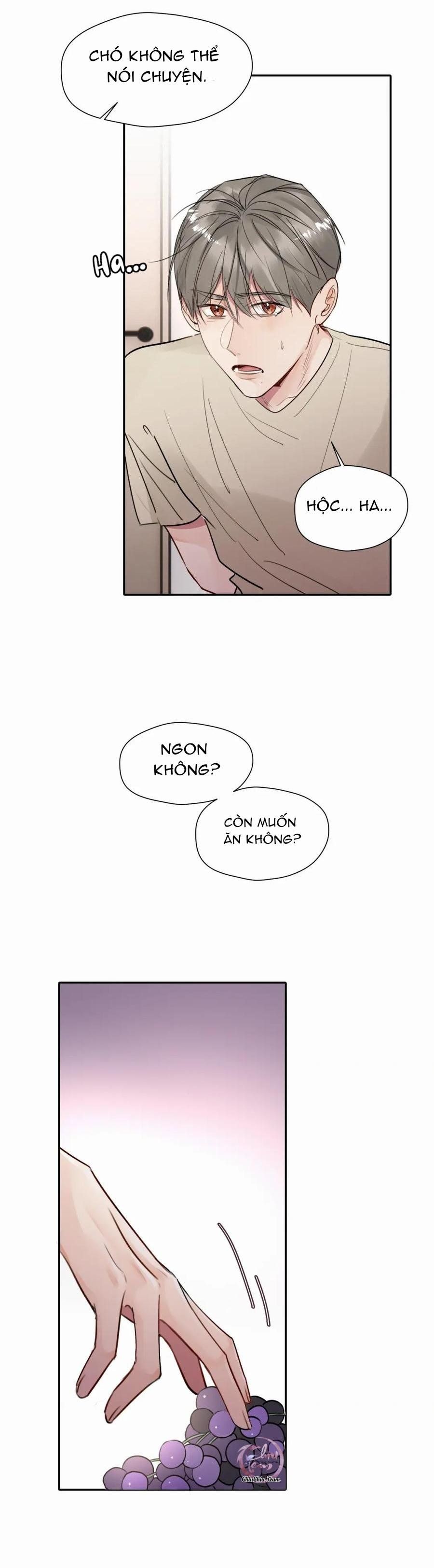 Chó Chuộc Tội Chapter 15 - 13