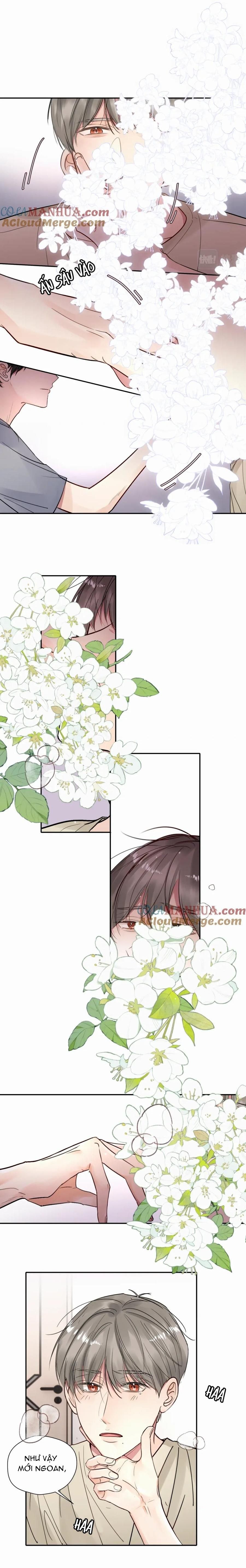 Chó Chuộc Tội Chapter 15 - 15