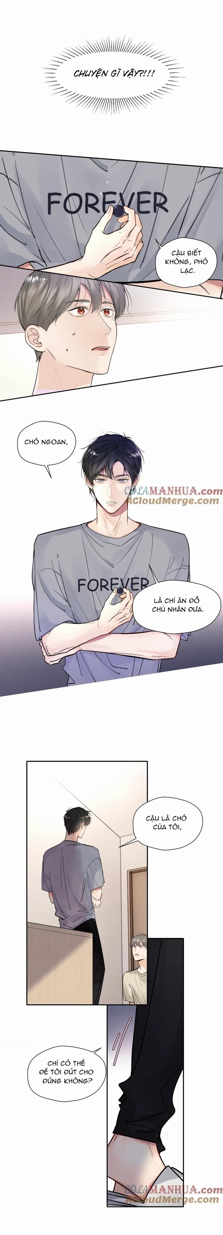 Chó Chuộc Tội Chapter 15 - 9