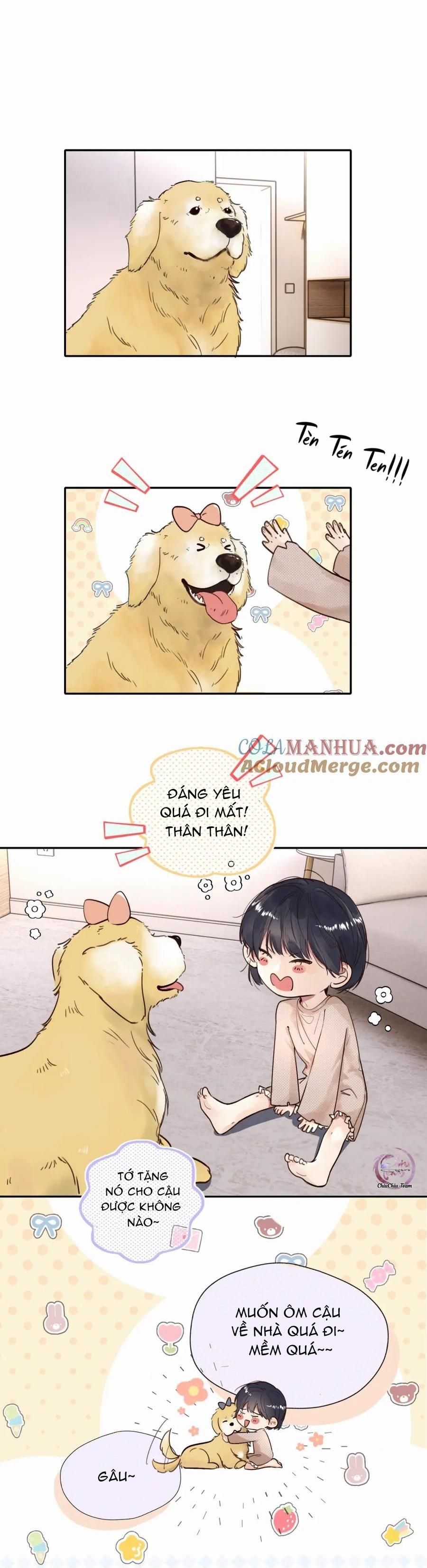 Chó Chuộc Tội Chapter 16 - 2