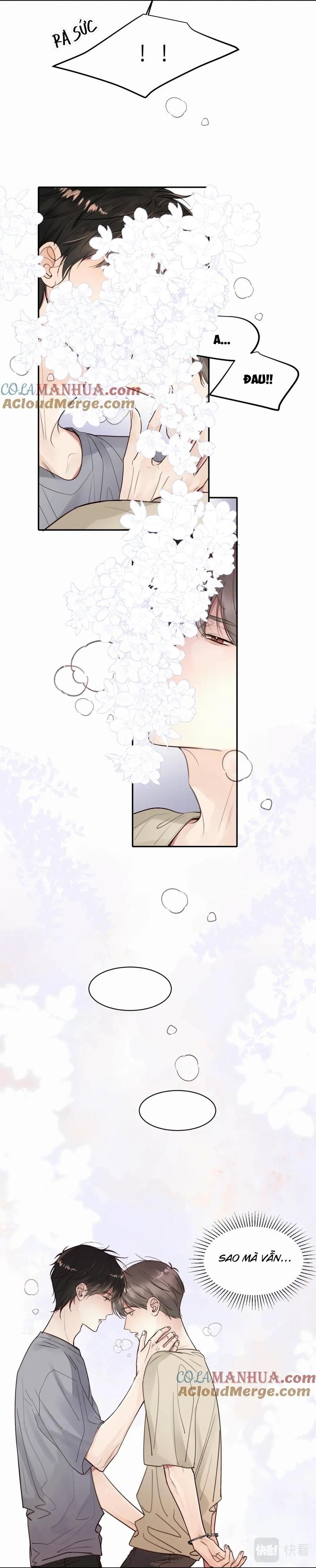 Chó Chuộc Tội Chapter 16 - 5