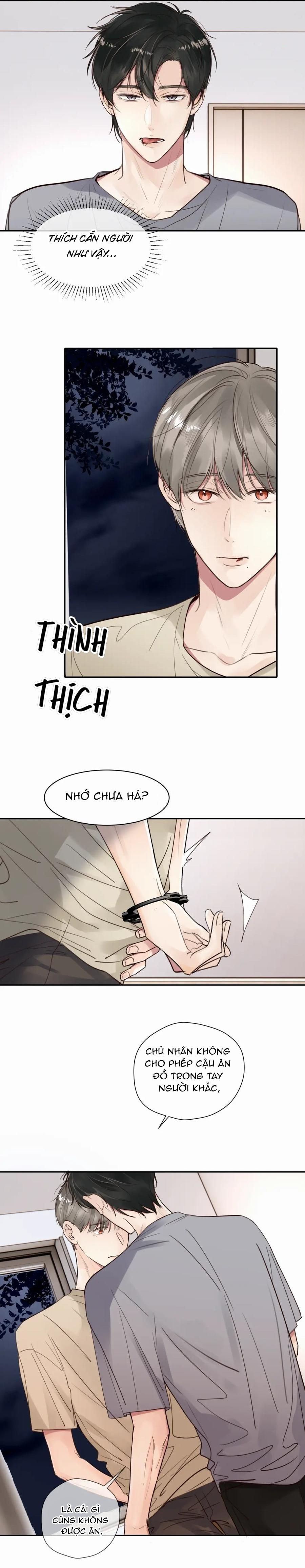 Chó Chuộc Tội Chapter 16 - 6