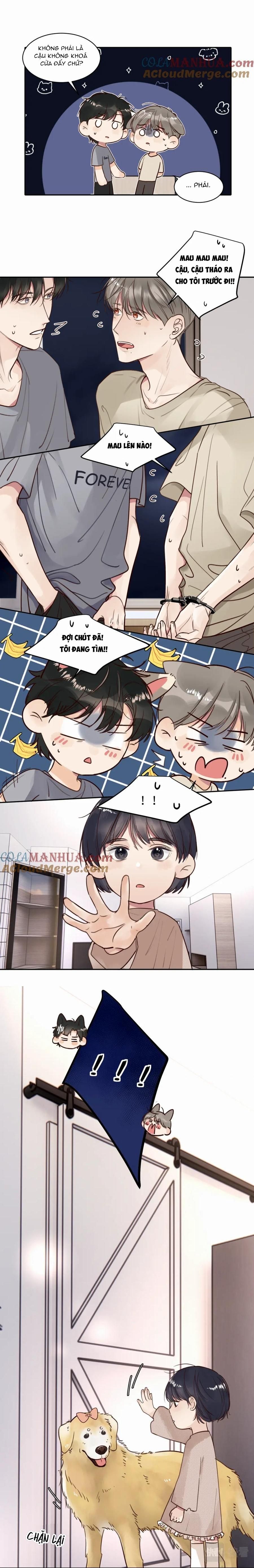 Chó Chuộc Tội Chapter 16 - 9