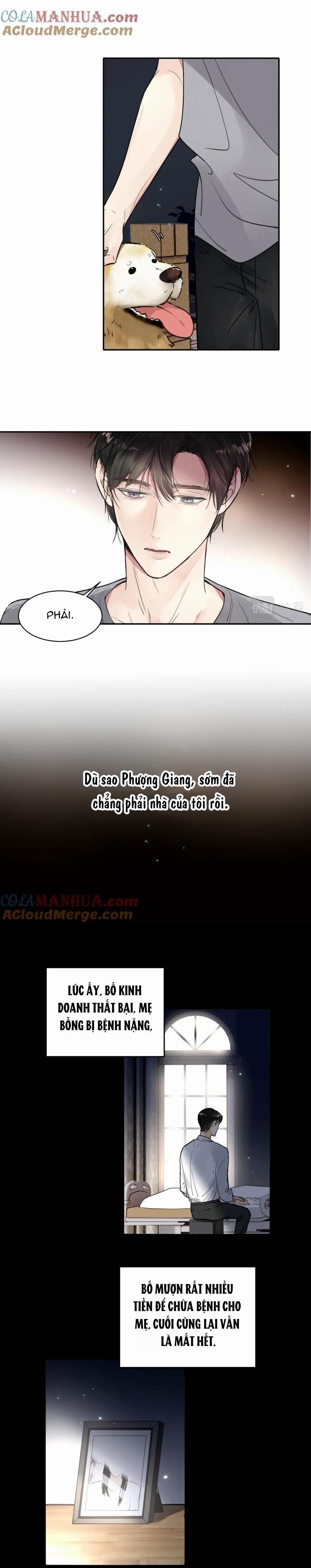 Chó Chuộc Tội Chapter 17 - 13