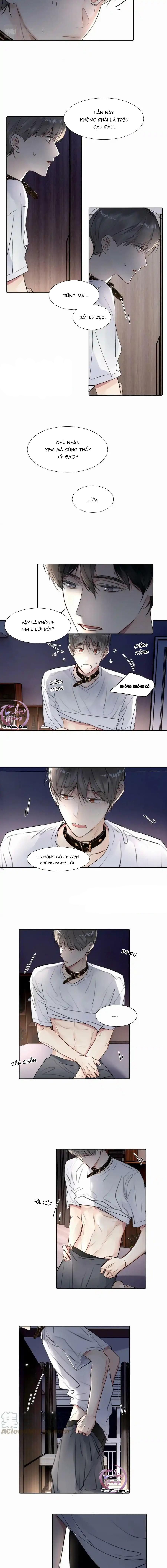 Chó Chuộc Tội Chapter 26 - 4
