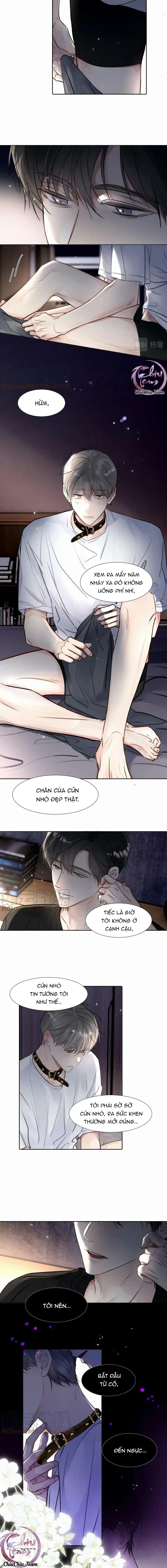 Chó Chuộc Tội Chapter 26 - 5