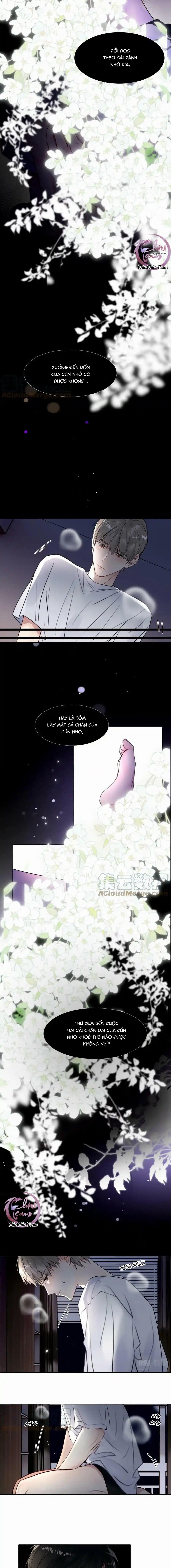 Chó Chuộc Tội Chapter 26 - 6