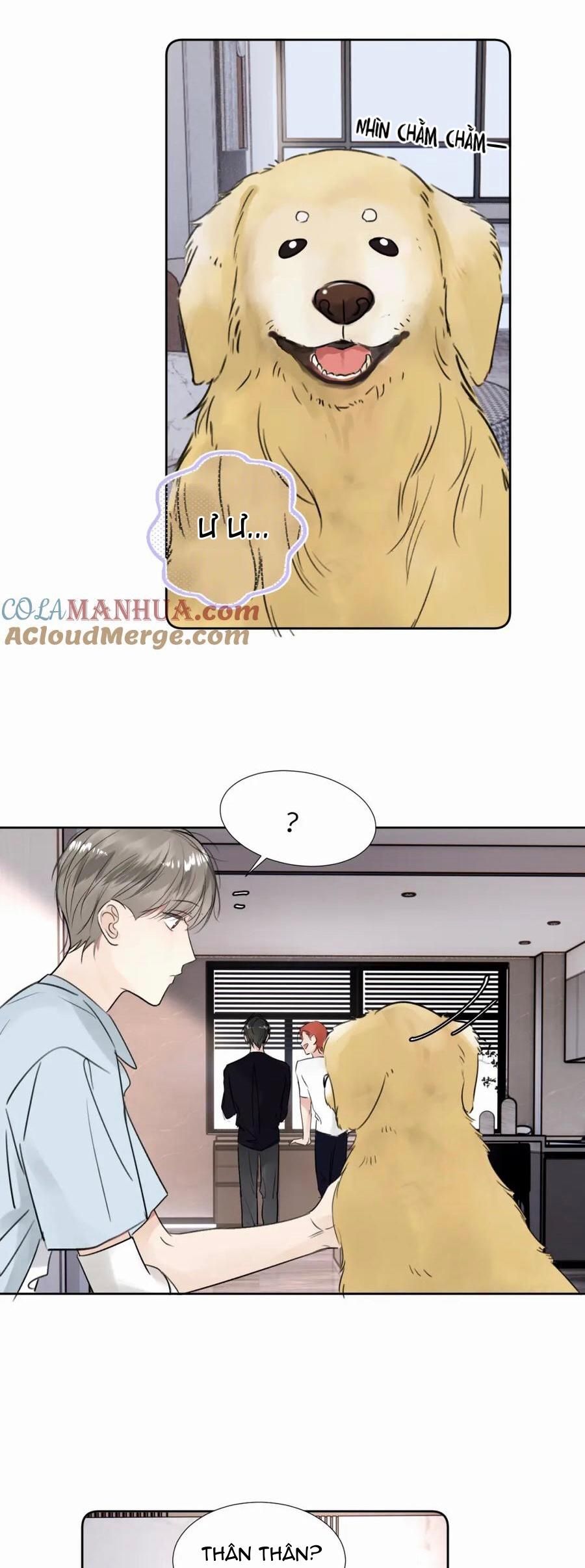 Chó Chuộc Tội Chapter 30 - 15