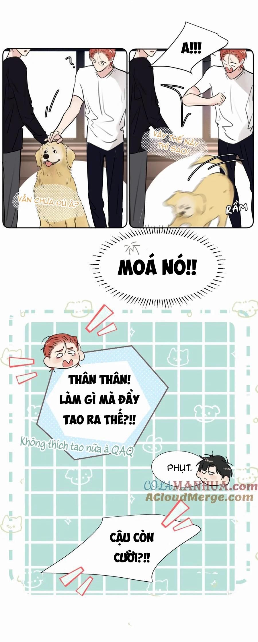 Chó Chuộc Tội Chapter 30 - 17