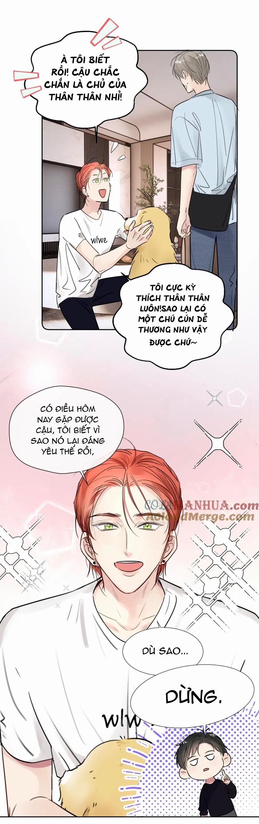 Chó Chuộc Tội Chapter 30 - 5