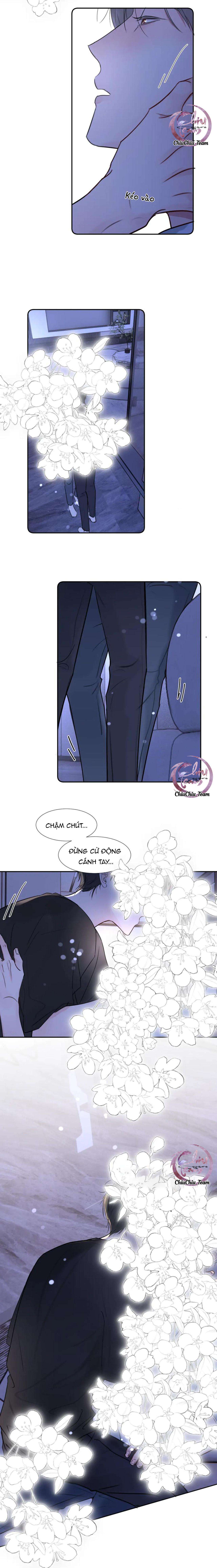 Chó Chuộc Tội Chapter 32 - 6