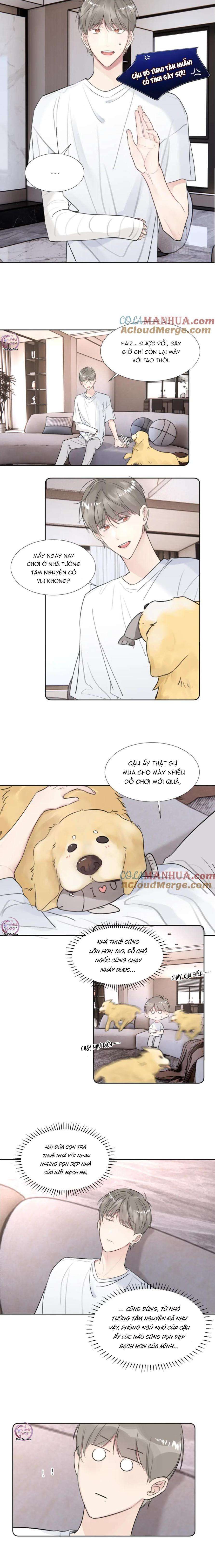 Chó Chuộc Tội Chapter 35 - 4