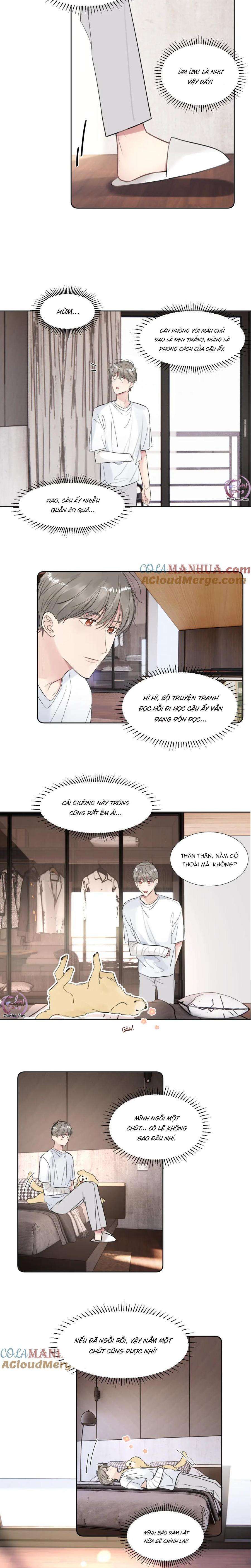 Chó Chuộc Tội Chapter 35 - 7