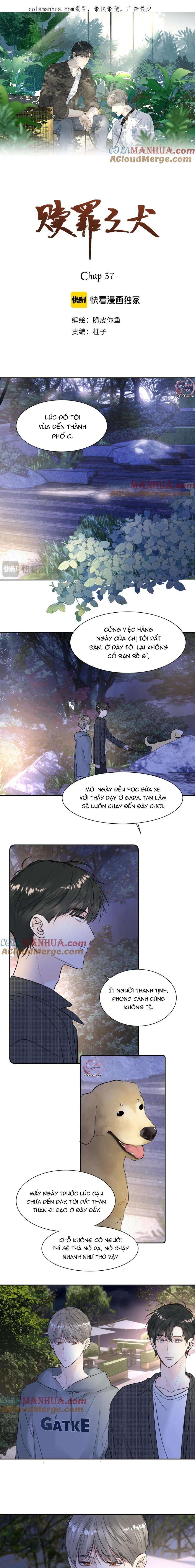 Chó Chuộc Tội Chapter 37 - 2