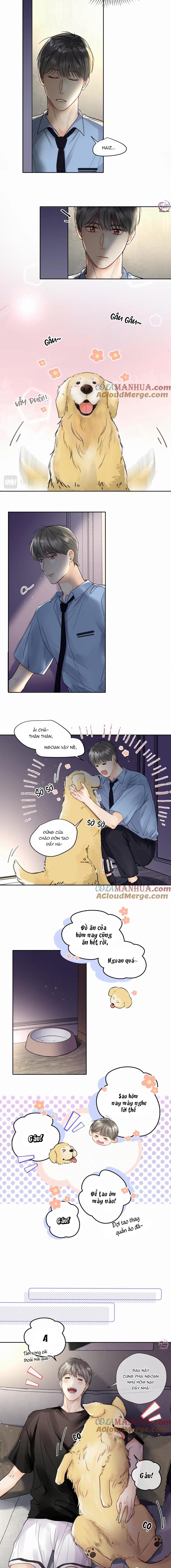 Chó Chuộc Tội Chapter 4 - 8