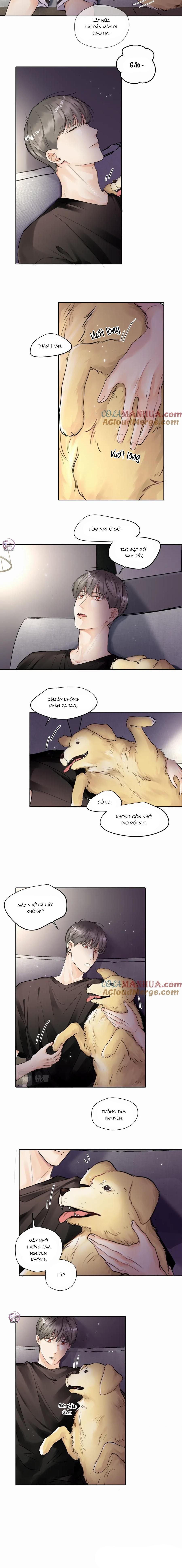 Chó Chuộc Tội Chapter 4 - 9