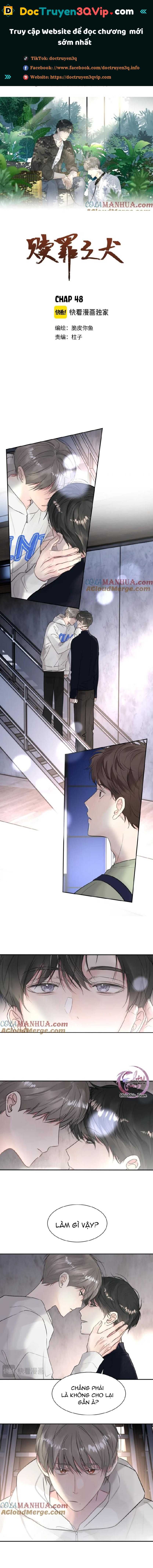 Chó Chuộc Tội Chapter 48 - 2