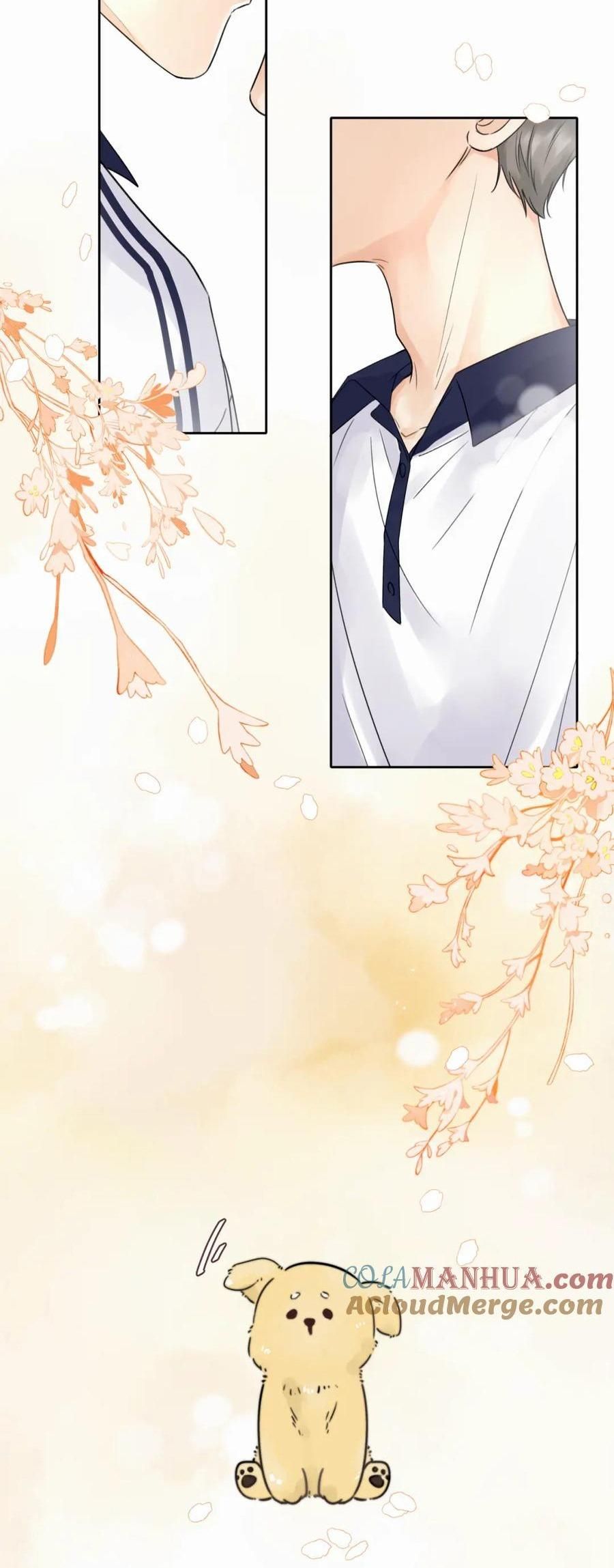 Chó Chuộc Tội Chapter 5 - 17