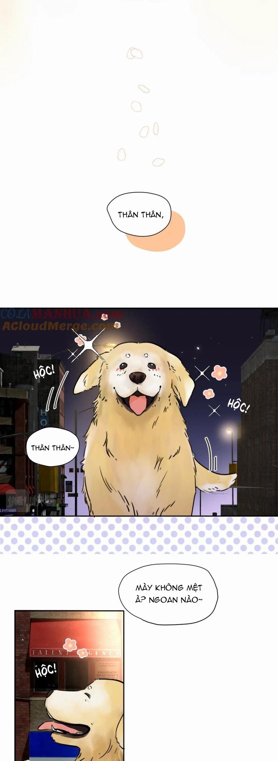 Chó Chuộc Tội Chapter 5 - 18