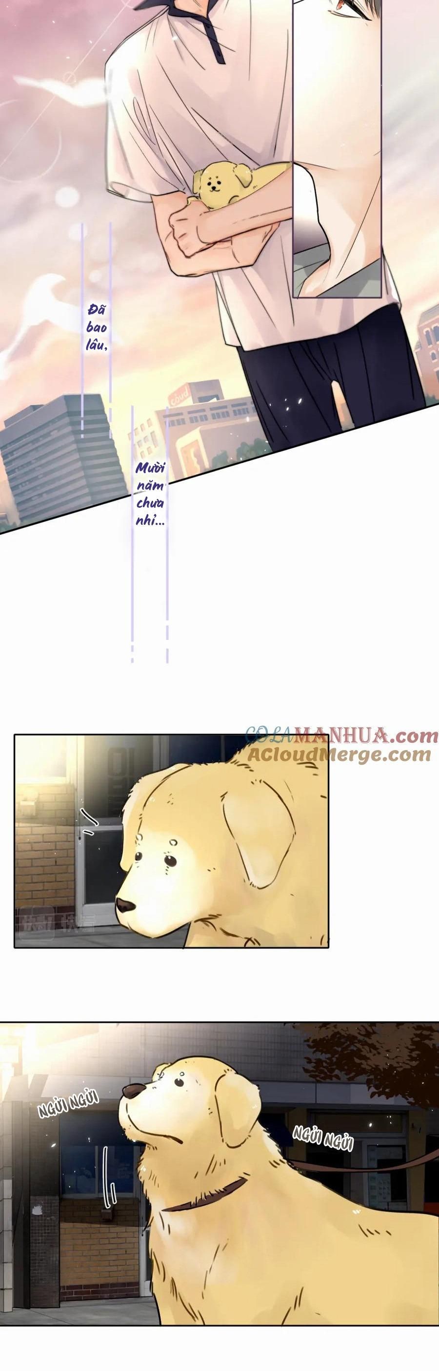 Chó Chuộc Tội Chapter 5 - 24