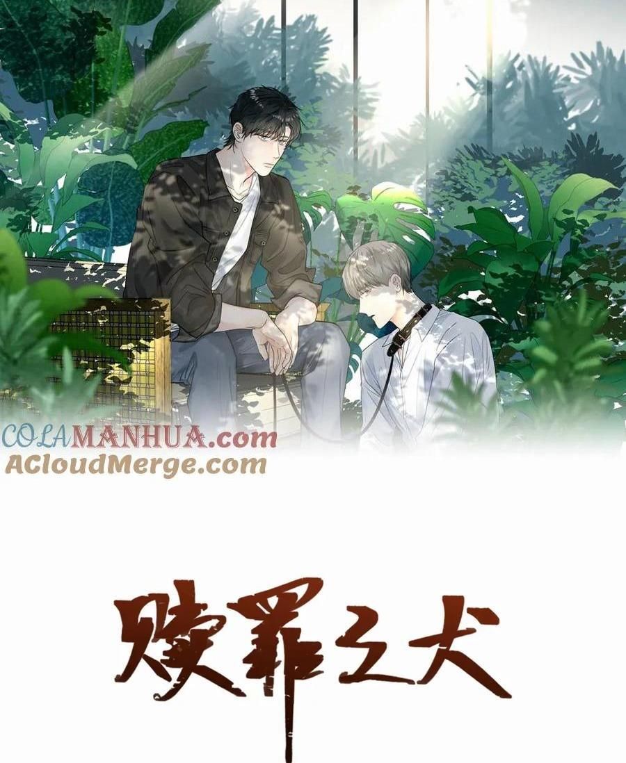 Chó Chuộc Tội Chapter 6 - 2