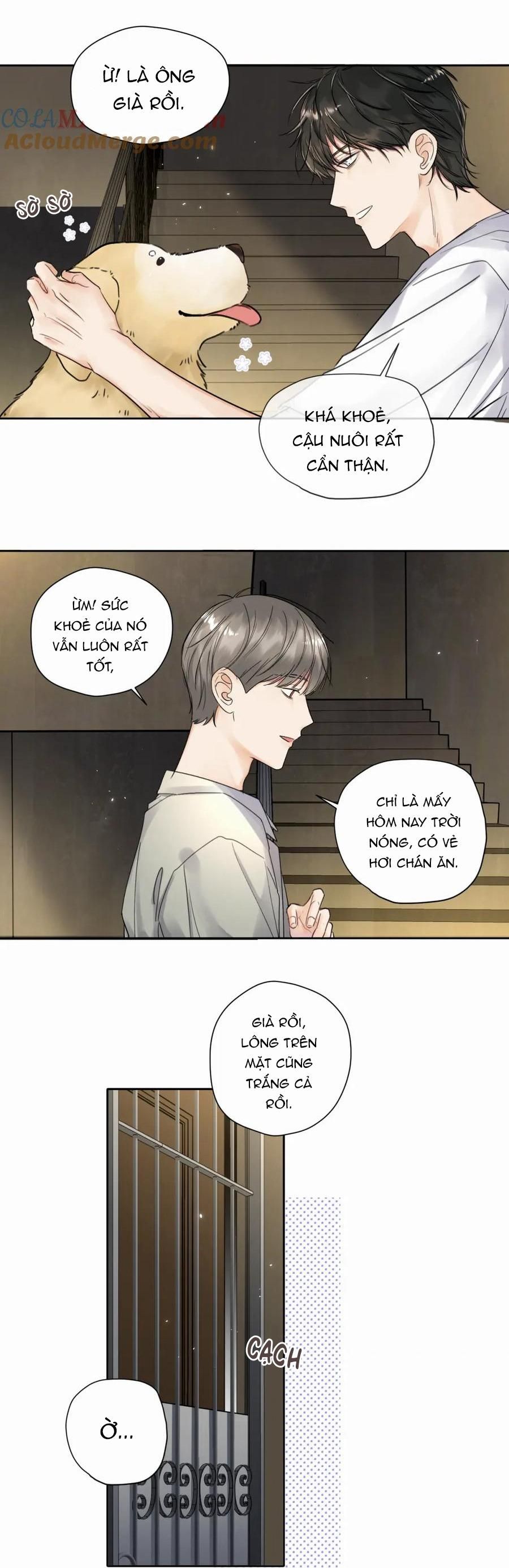 Chó Chuộc Tội Chapter 6 - 17