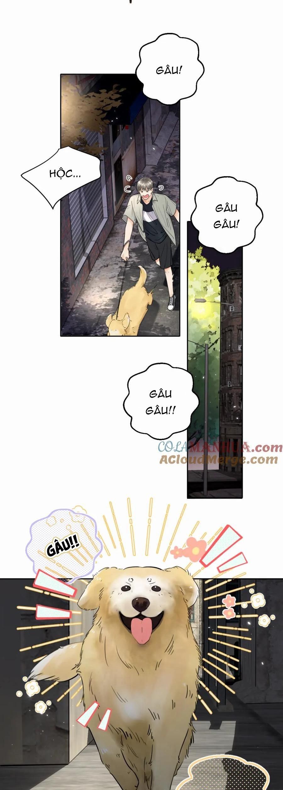 Chó Chuộc Tội Chapter 6 - 3