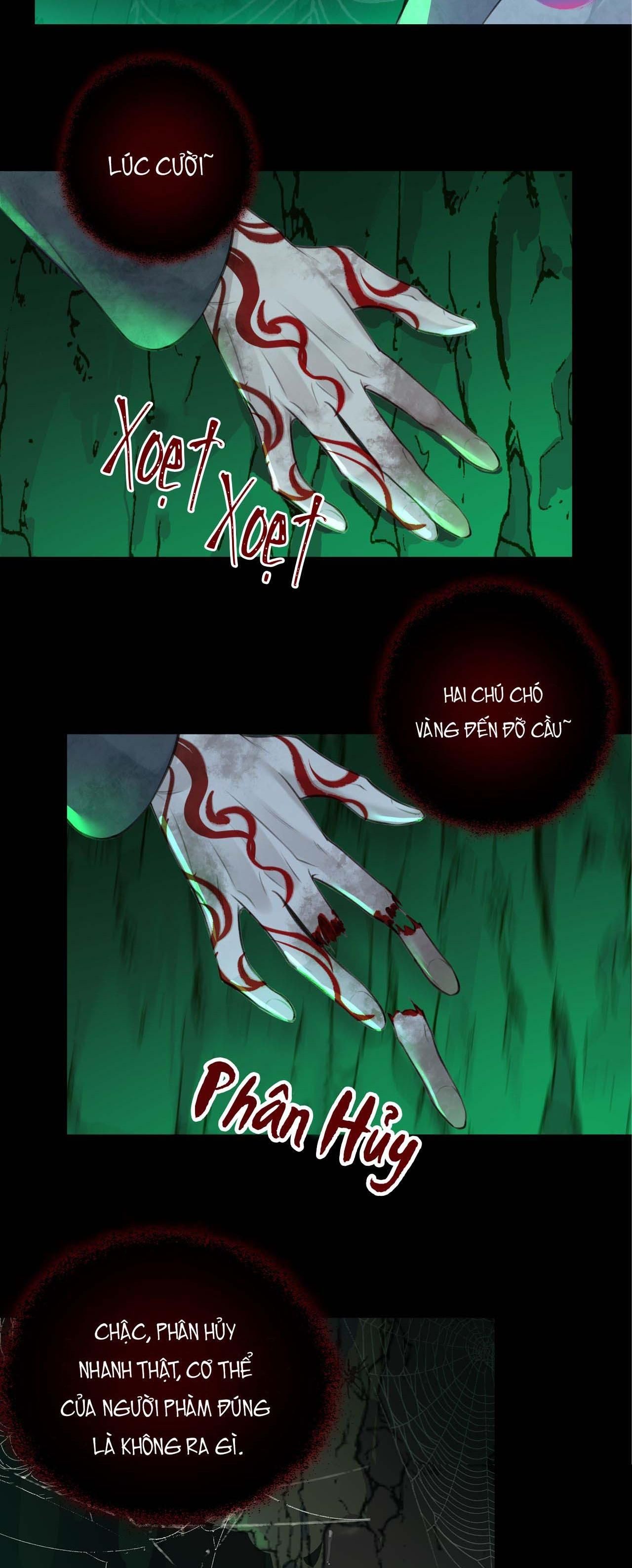 Bản Toạ Nuôi Quỷ Hút Máu Ở Tông Môn Chapter 17 - 39