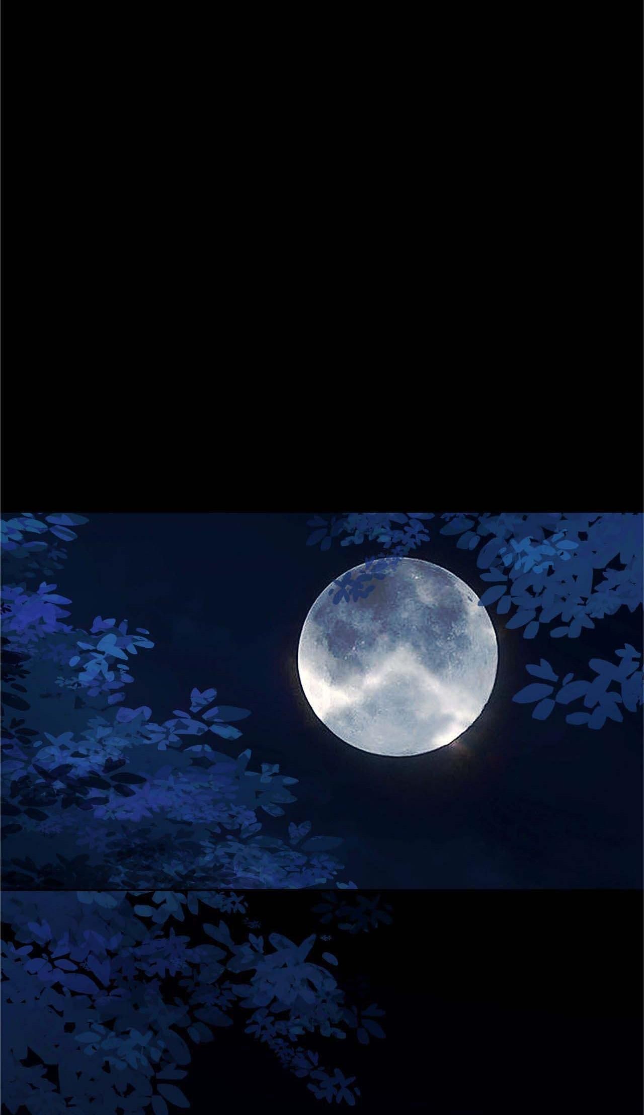 Bản Toạ Nuôi Quỷ Hút Máu Ở Tông Môn Chapter 25 - 24