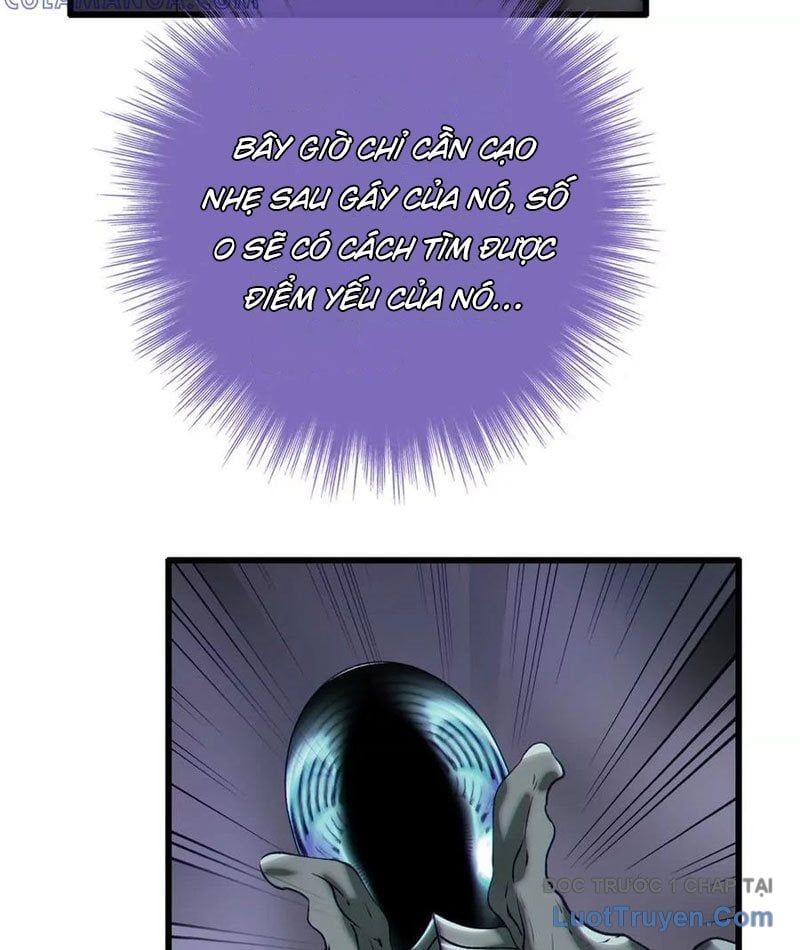Dị Chủng Hắc Đản Chapter 37 - 49