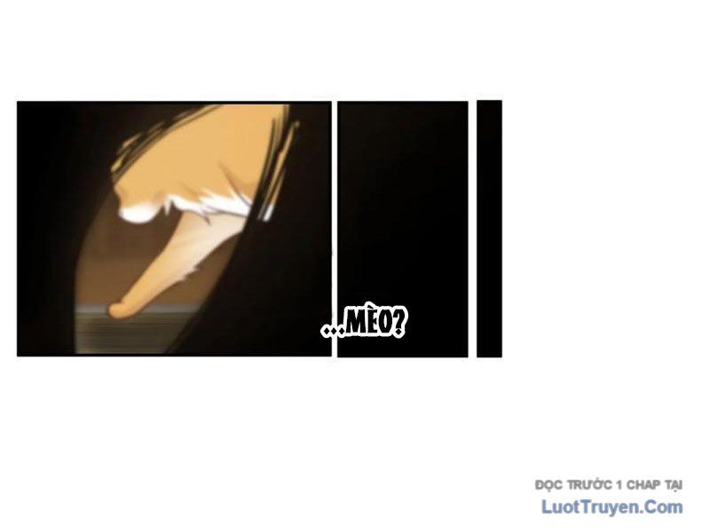 Cựu Nhật Chi Triện Chapter 11 - 19