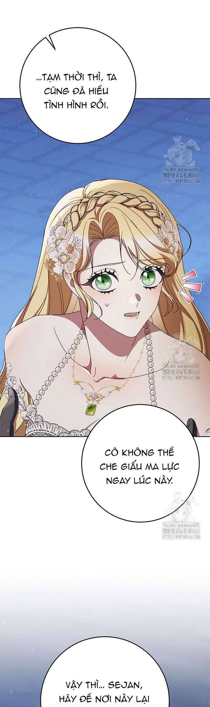 Tôi Đã Nuôi Dạy Em Gái Mình Một Cách Hoàn Hảo Chapter 93 - 25