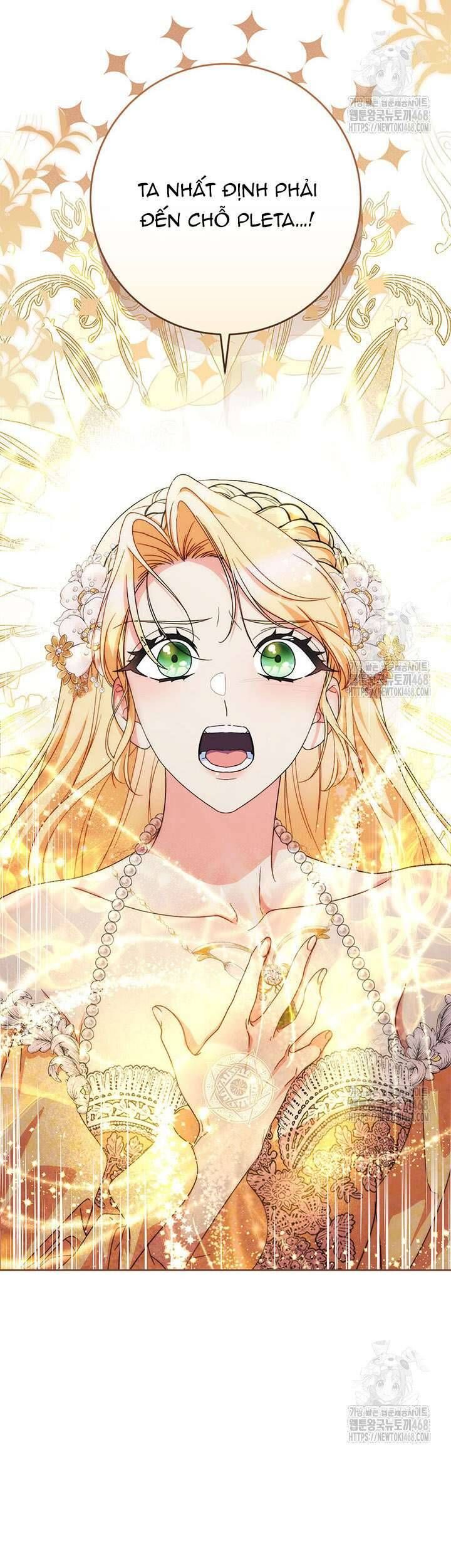 Tôi Đã Nuôi Dạy Em Gái Mình Một Cách Hoàn Hảo Chapter 93 - 40