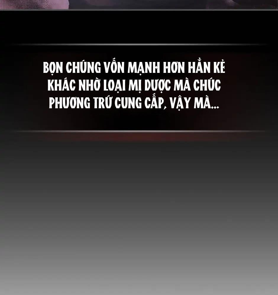 Sự Trở Lại Của Chiến Thần Chapter 35 - 30